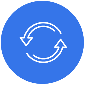 Disaster Recovery icon